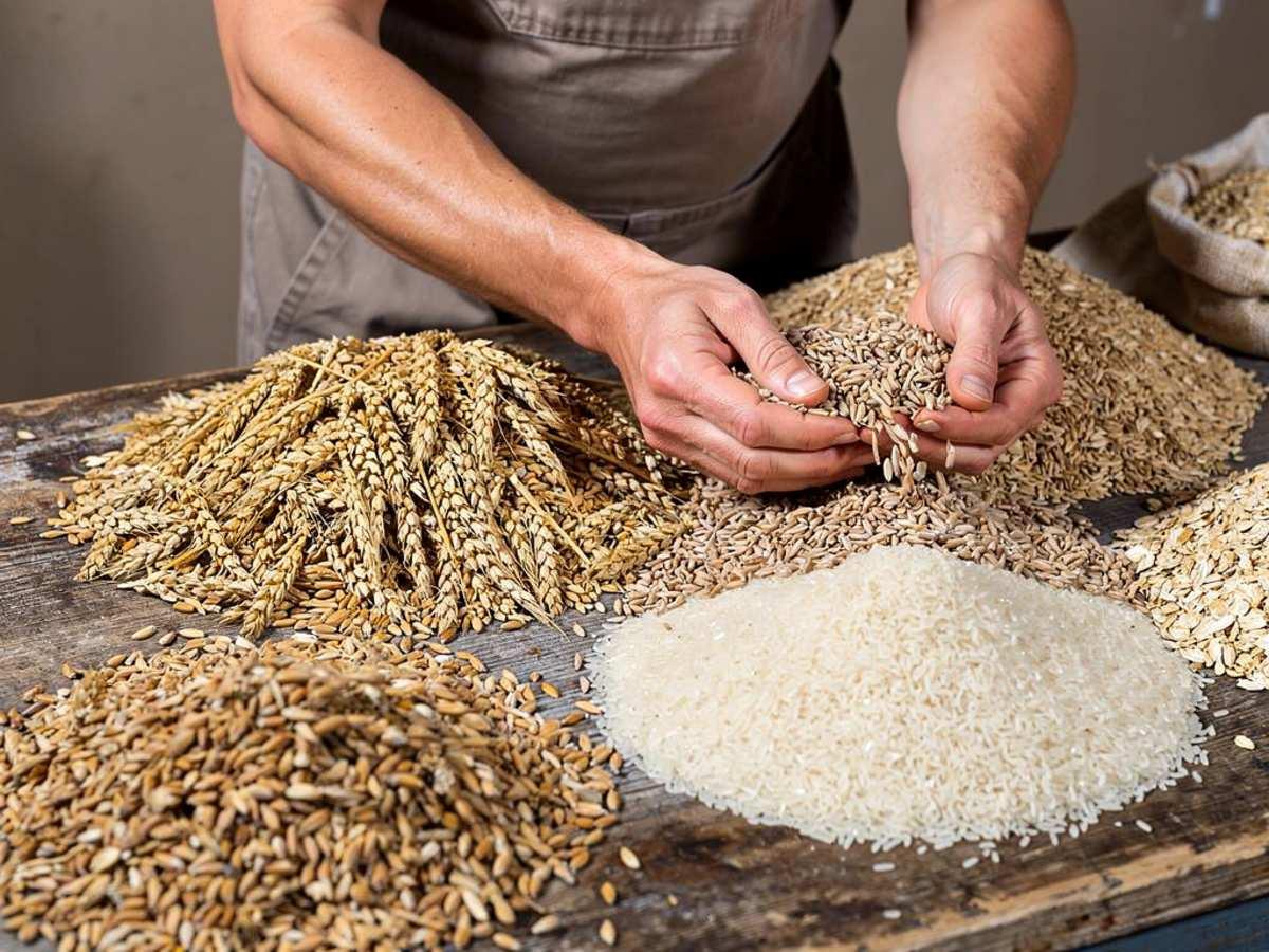 Россия обнулит пошлины на экспорт зерна и снизит сборы на вывоз подсолнечного масла