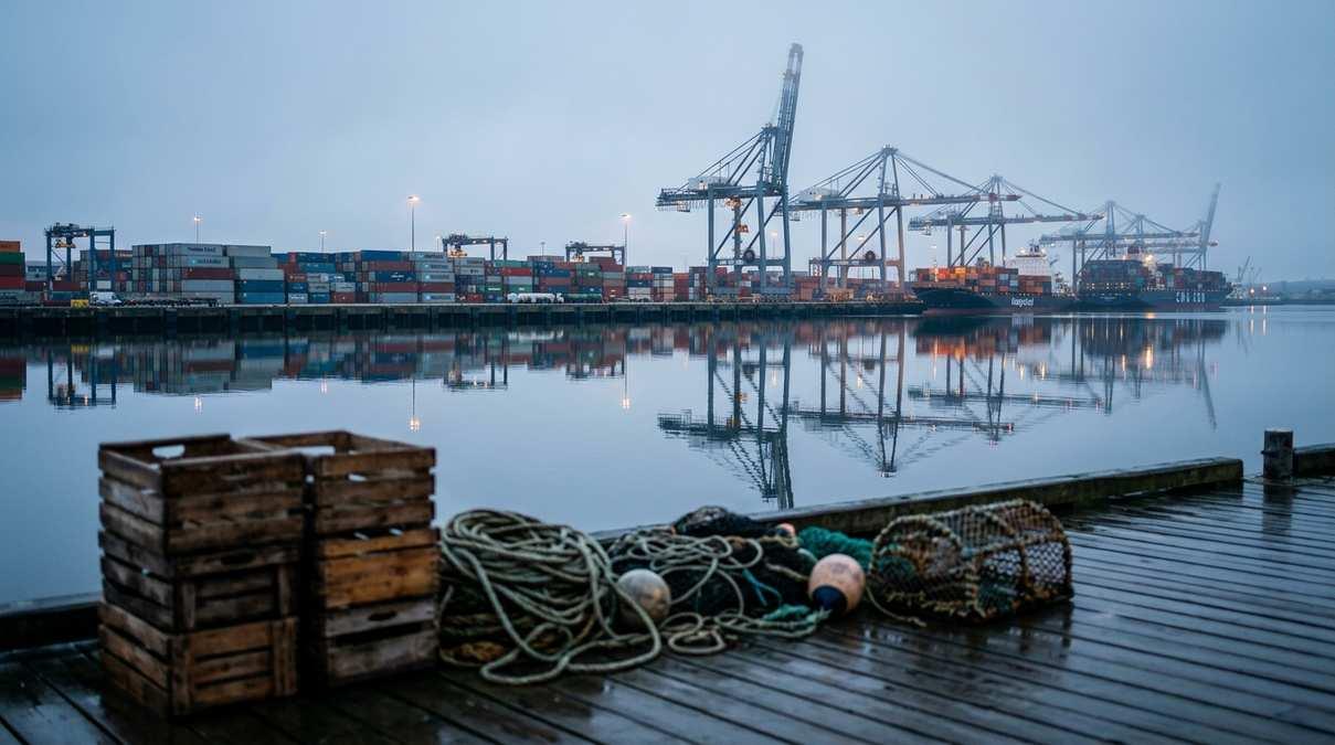 Россия увеличила экспорт крабов в Китай на четверть в первом полугодии