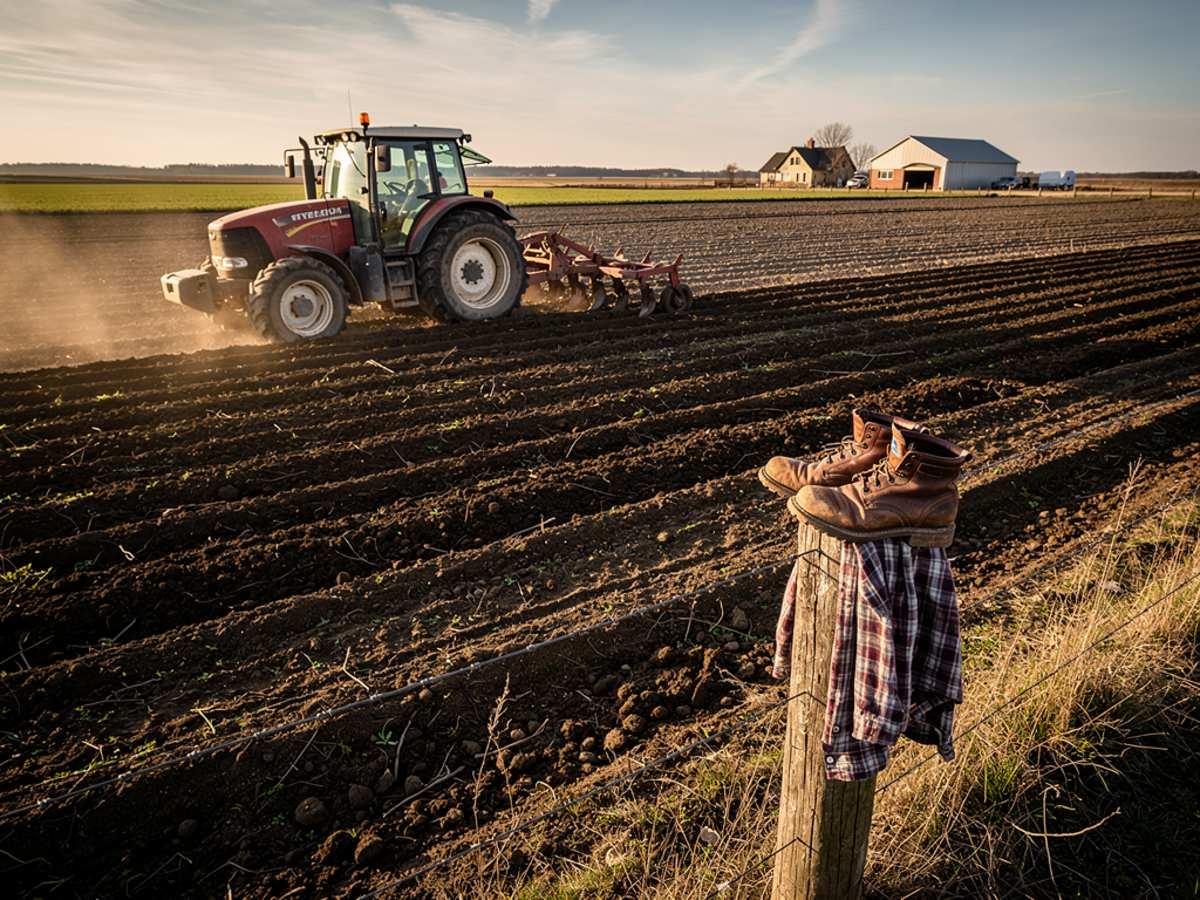Число аграриев на российском сократилось на 2,7 тысячи за три года