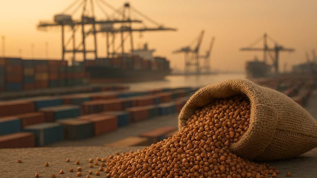 Россия увеличила выручку от экспорта гречихи в Китай почти на 27%