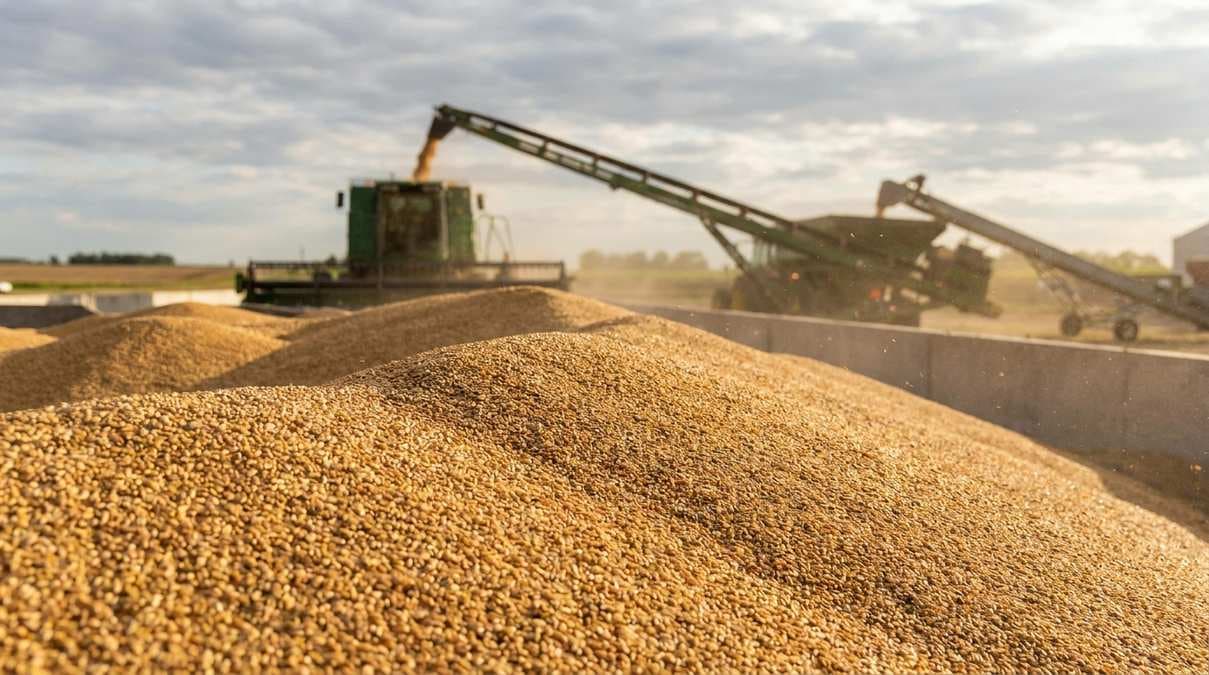 Выручка Русагро выросла на 10% по итогам девяти месяцев 2026 года
