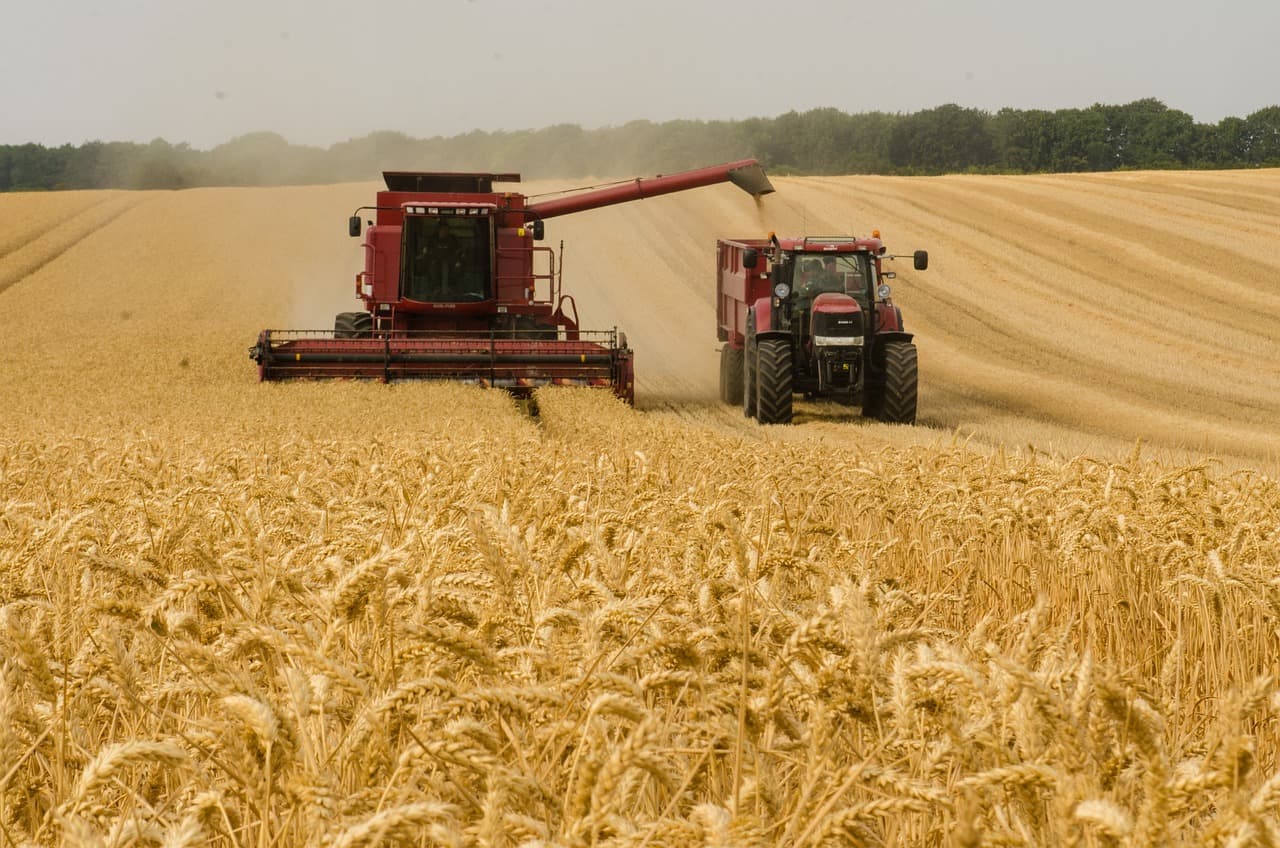 Экспорт продукции АПК пошел на рекорд