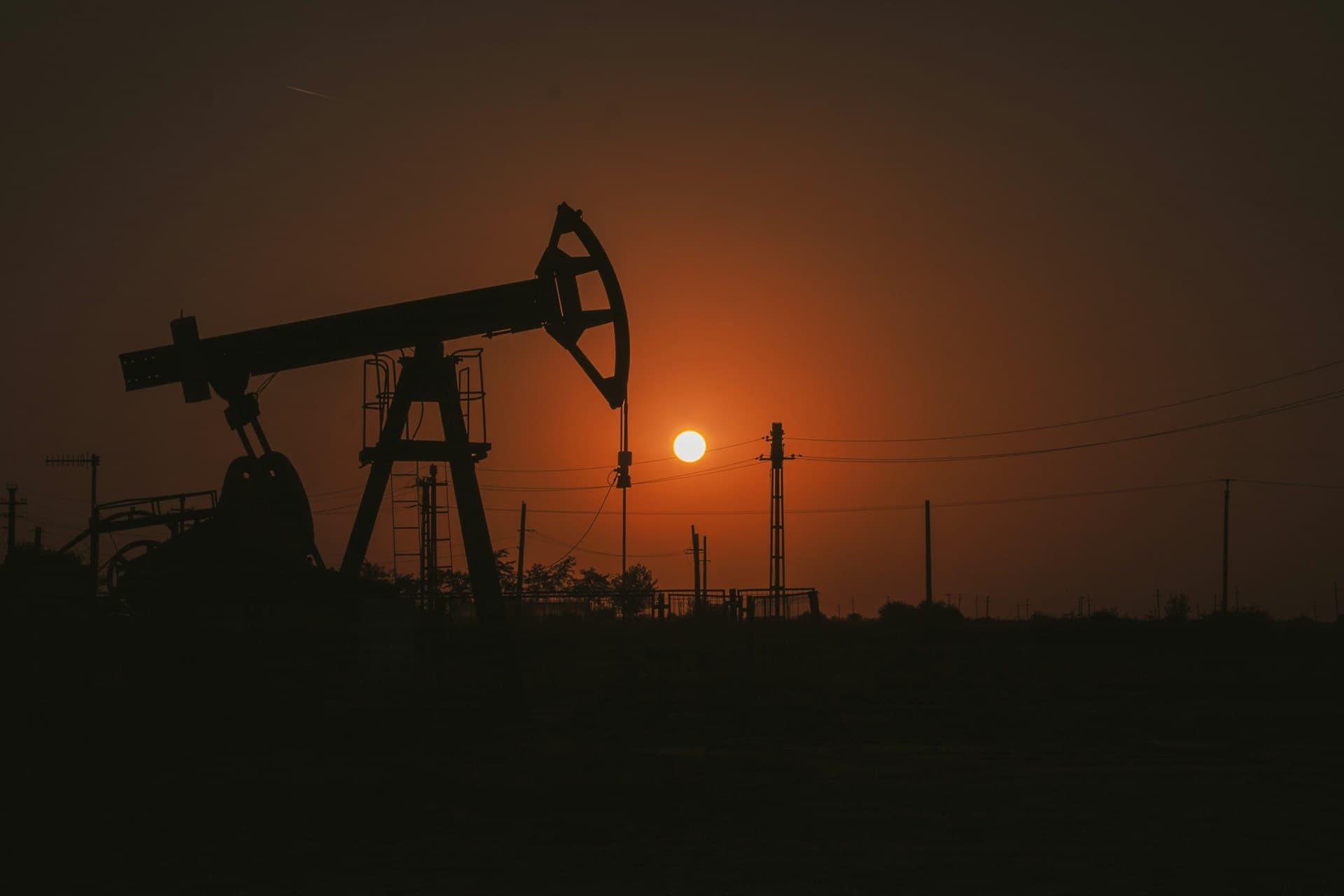 Доля Индии в российском нефтяном экспорте в августе снизилась до 42,3%