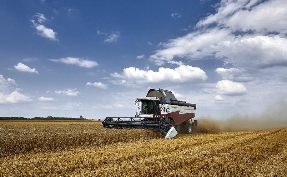 Акрон увеличил чистую прибыль на треть по итогам 2025 года