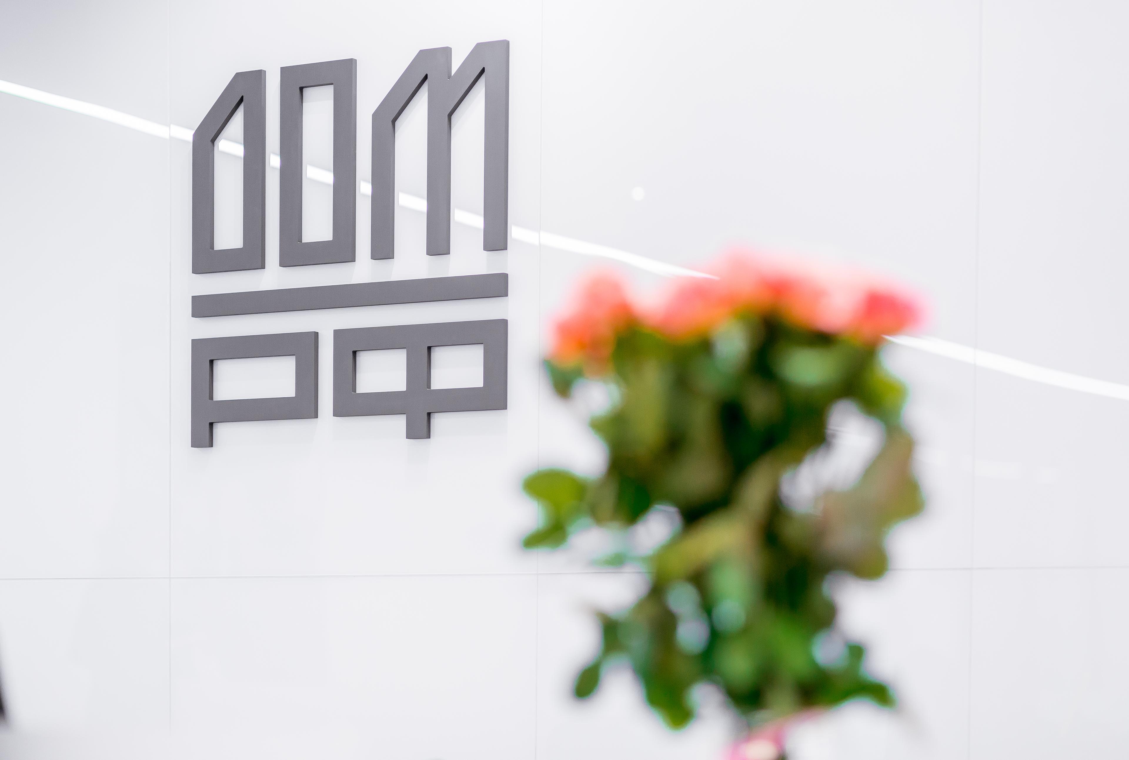 Пудовкин: через год дивиденды ДОМ.РФ могут вырасти более чем на 20%