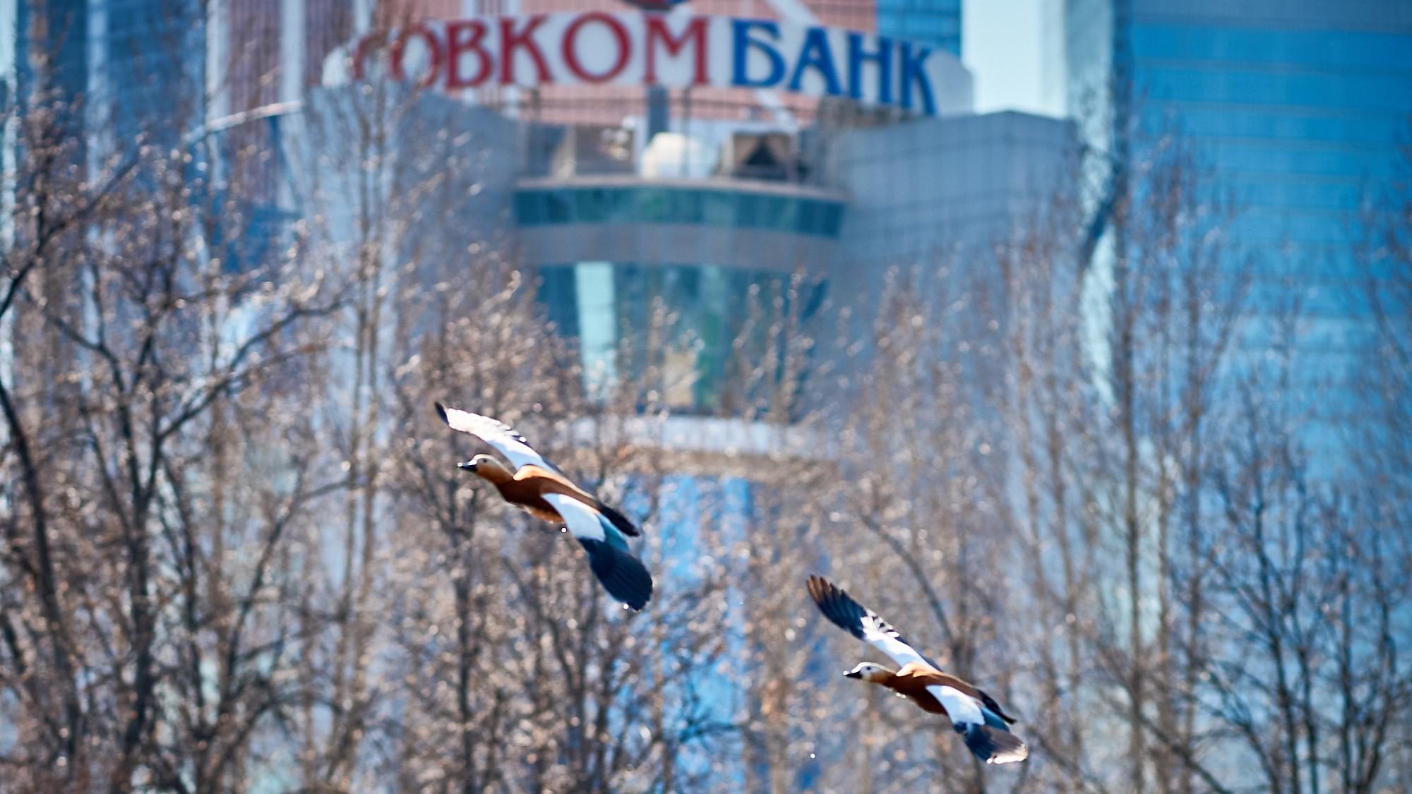Совкомбанк удивляет высокой рентабельностью