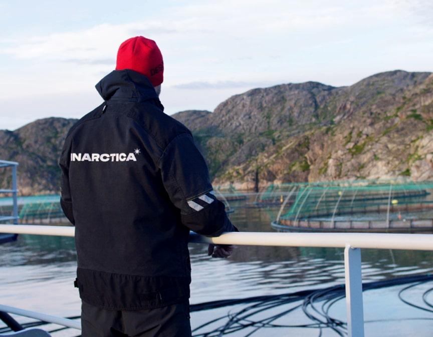 Аналитики Market Power оценили отчетность Инарктики за 2025 год