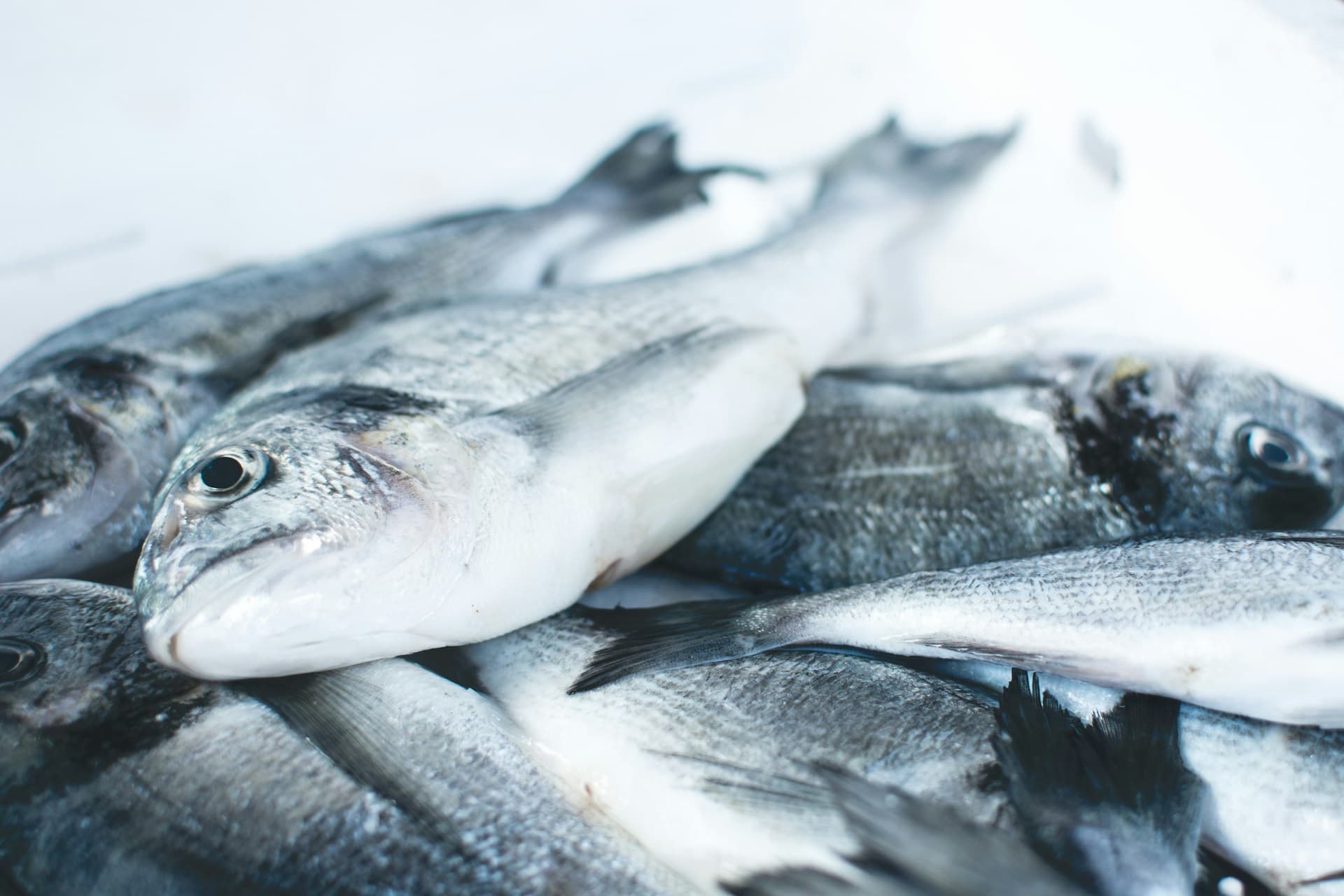 Минсельхоз ограничил льготные кредиты на переработку продукции