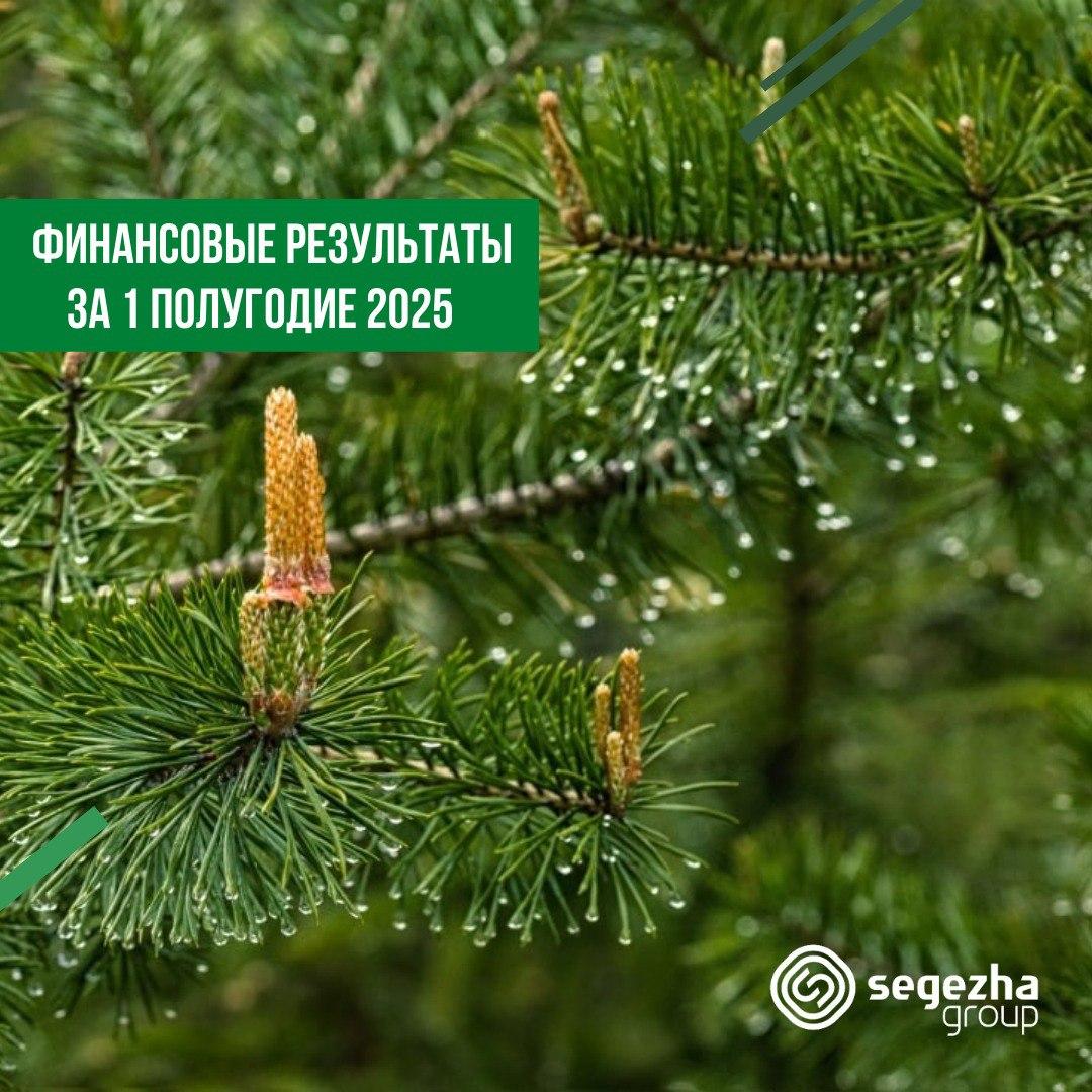 Сегежа Групп: итоги 1 полугодия 2025 года