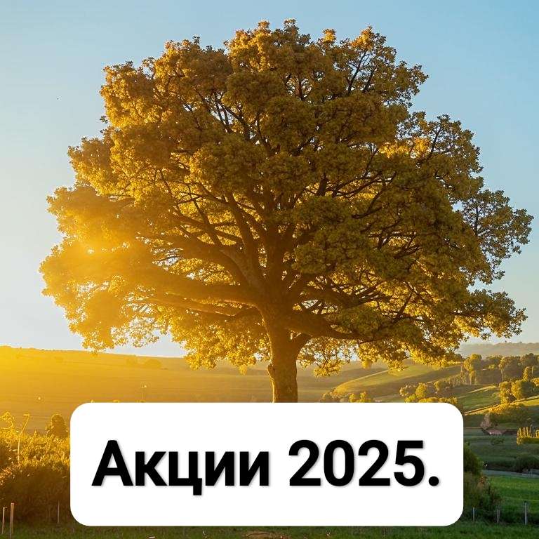 Прогнозы с целями по акциям от лучших аналитиков.