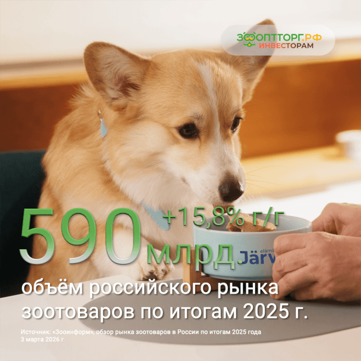 📈 Почему рынок зоотоваров в России заслуживает внимания инвестора