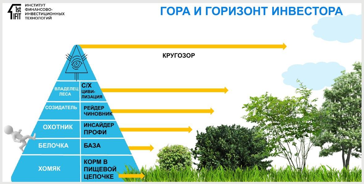 "Финансовый мир" – курс, который я писал больше двух лет