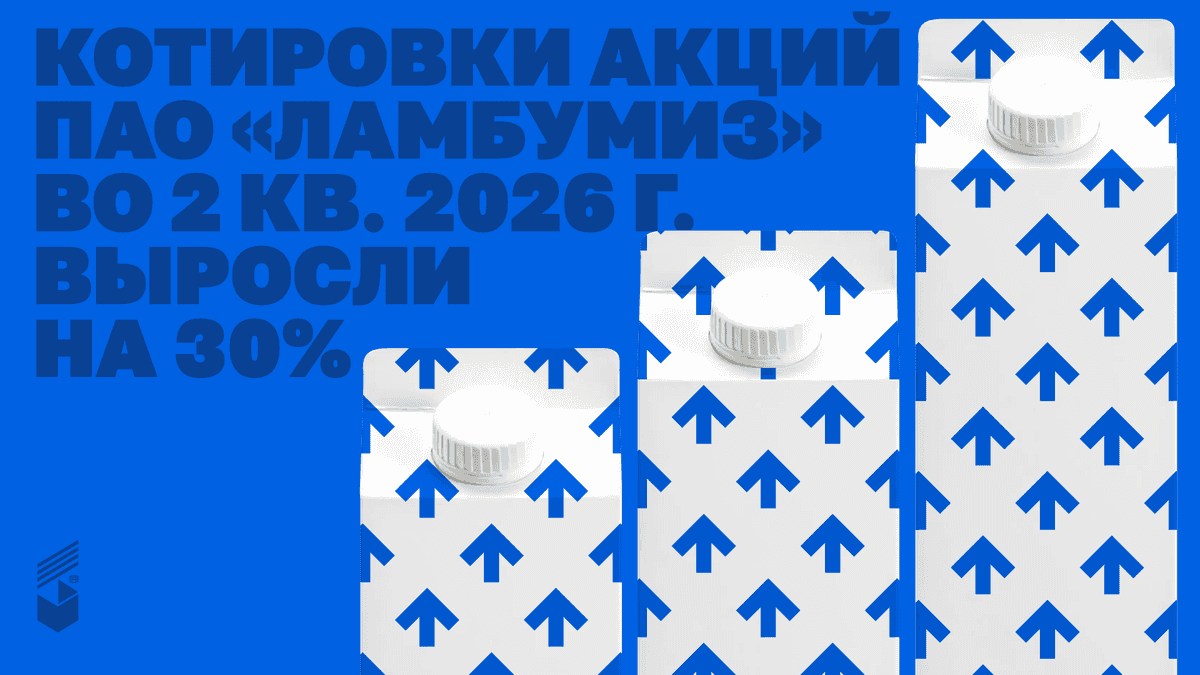Растём против рынка: +30% за квартал