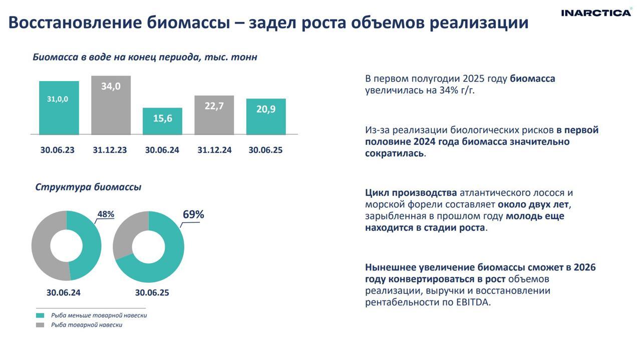 Инарктика – отчет за полугодие и планы на будущее