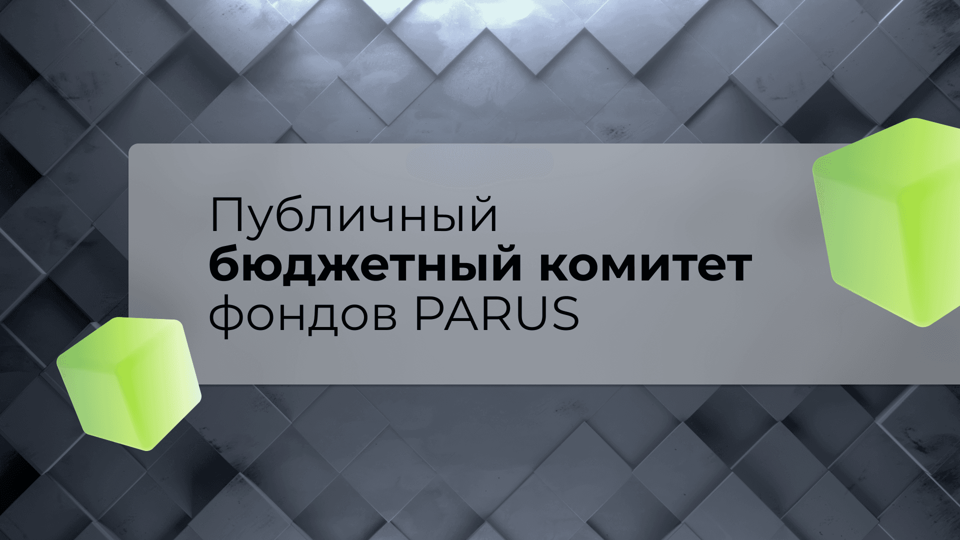 Публичный бюджетный комитет фондов PARUS