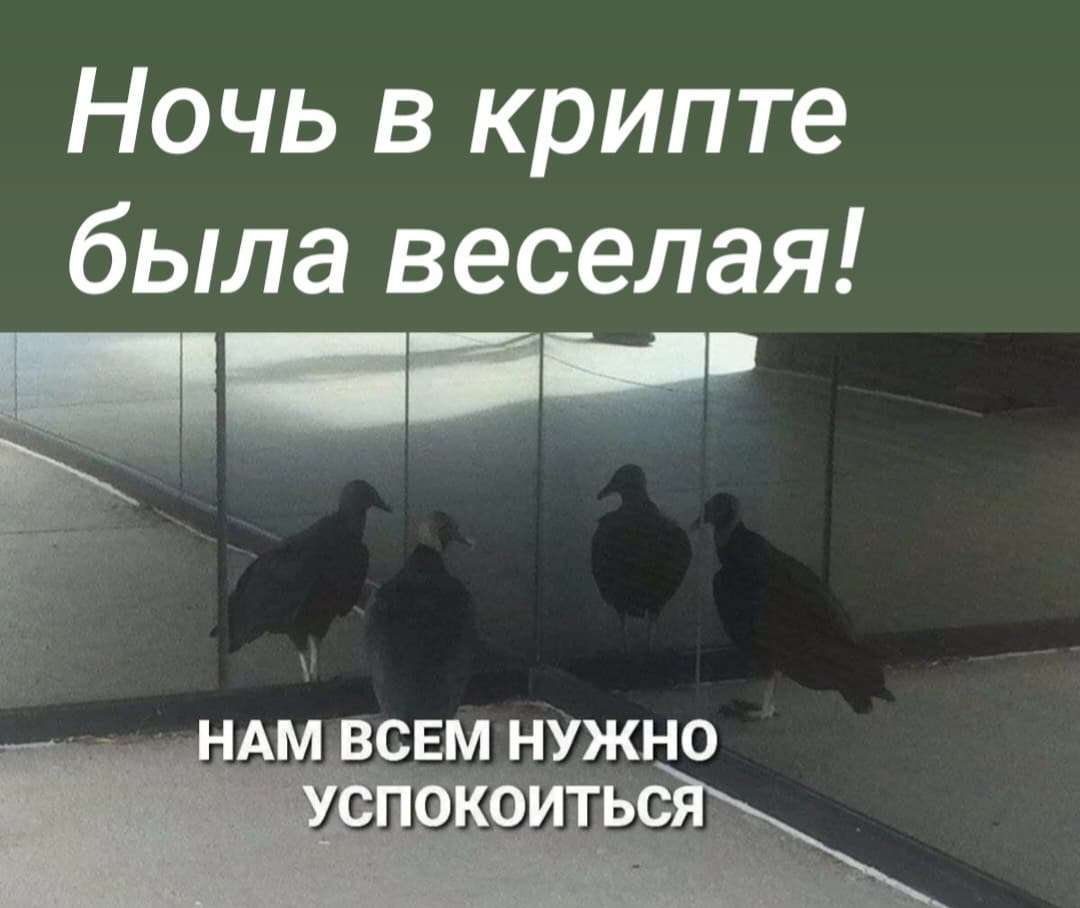 Ночь, когда биткоин испугался Трампа