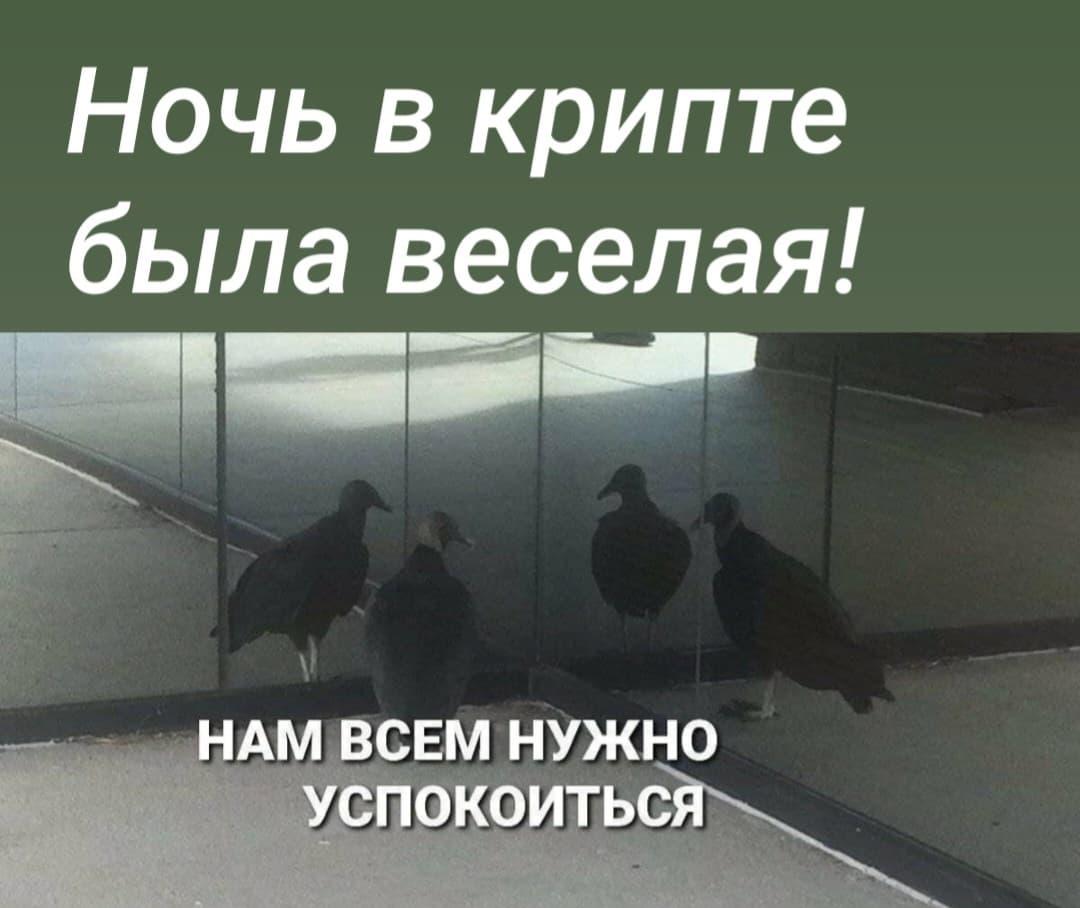Ночь, когда биткоин испугался Трампа