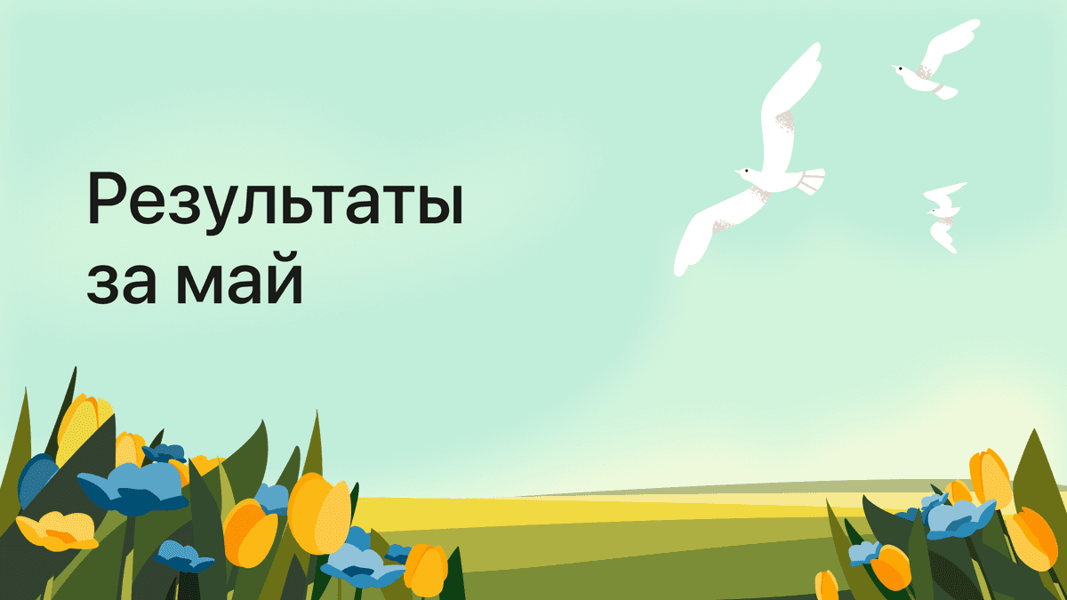 Результаты платформы за май 2026 года