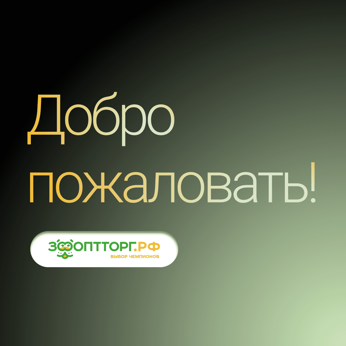 ДОБРО ПОЖАЛОВАТЬ!