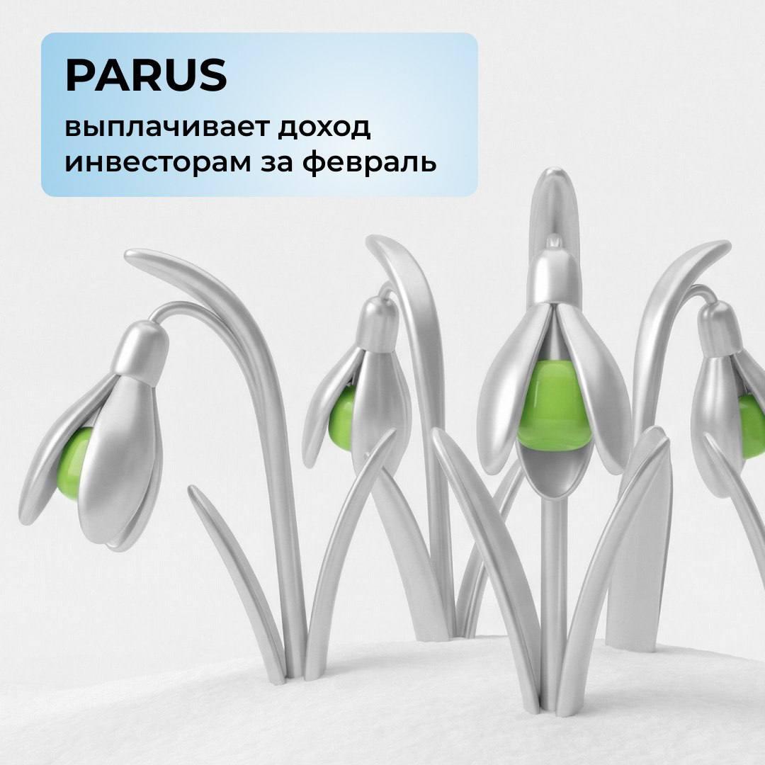 Выплаты дохода инвесторам за февраль!